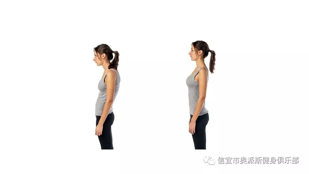 如何根据体型制定个性化的篮球训练方案_1